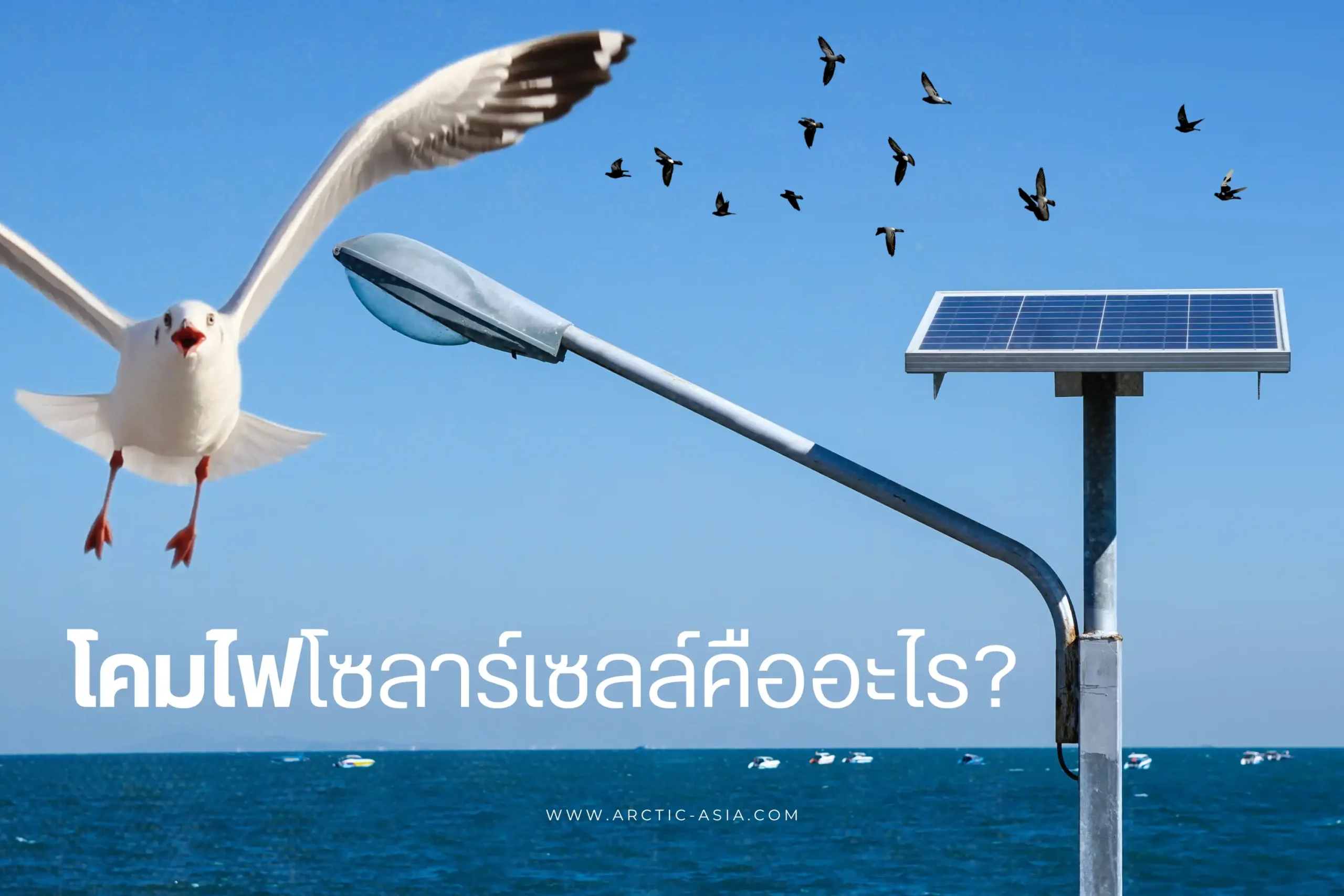 Solar cell คืออะไร? พลังงานสะอาดจากแสงอาทิตย์เพื่ออนาคตที่ยั่งยืน 1 โคมไฟโซลาร์เซลล์-cover